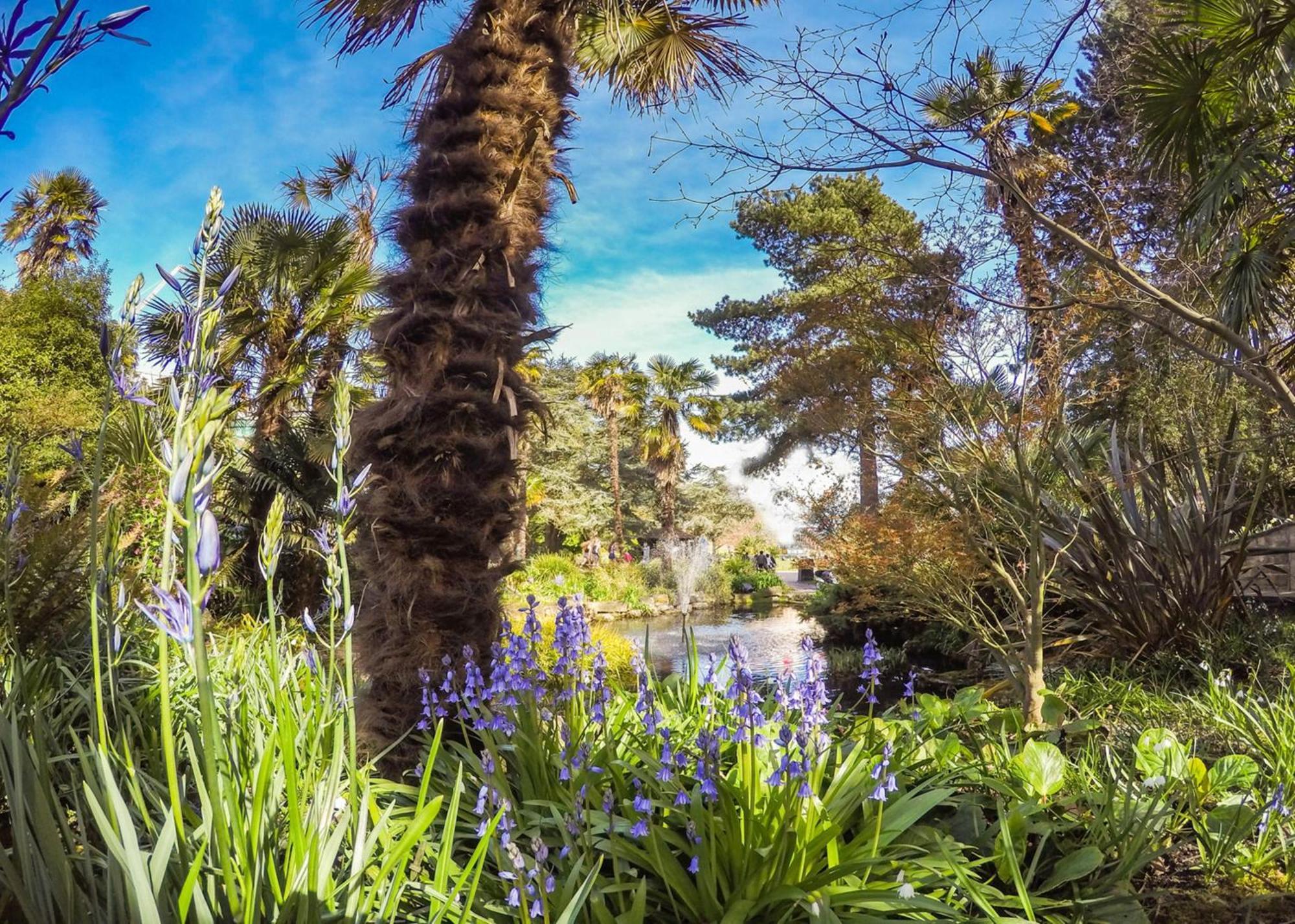 Bournecoast - Clifftop Apartment With Garden -Fm827 Bournemouth Luaran gambar